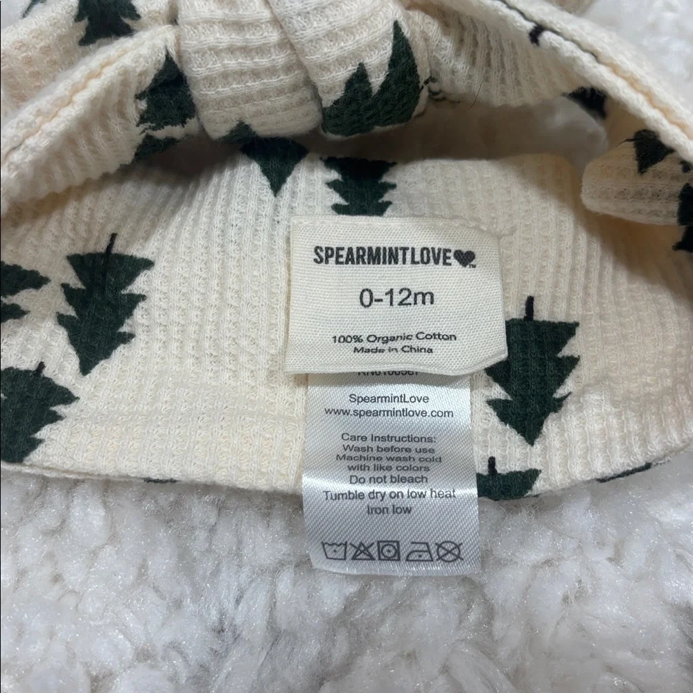 Spearmint Love headband 12
